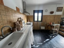 Foto67