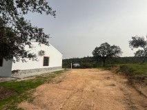 Foto7
