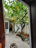 Foto9