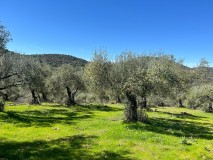Foto14