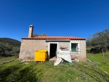 Foto3