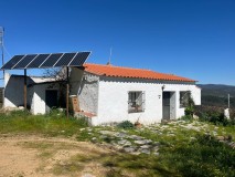 Foto37