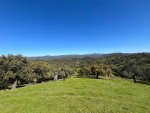 Foto38