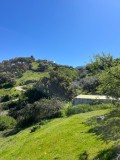 Foto39
