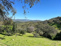 Foto40