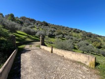 Foto41