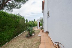 Foto37