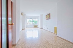 Foto6