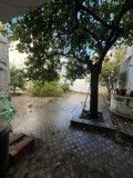 Foto12