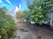 Foto15