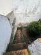 Foto32