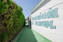 Foto31