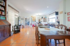 Foto19