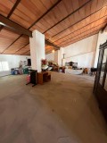 Foto19