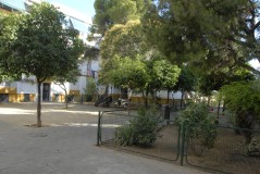 Foto34