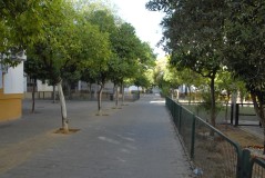 Foto35