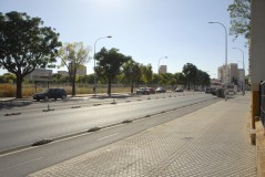 Foto37