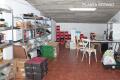 Foto6