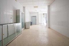 Foto7