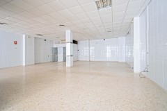 Foto8