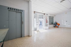 Foto9