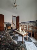 Foto8