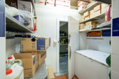 Foto53