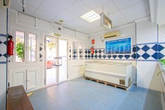 Foto4