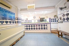 Foto5