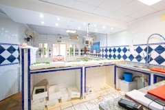 Foto7