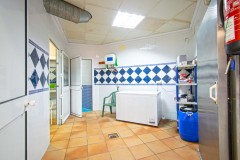 Foto9