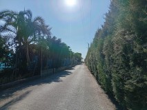 Foto10