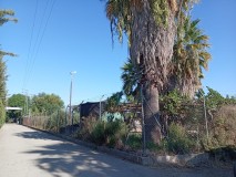 Foto11