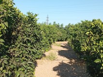 Foto4