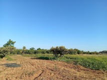 Foto6