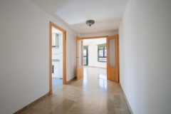 Foto8