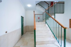 Foto7
