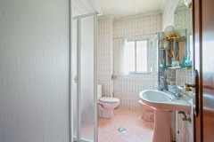 Foto19
