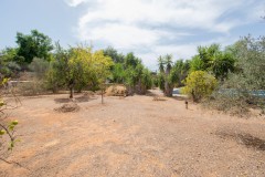 Foto5