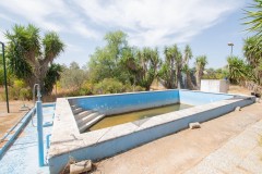 Foto6