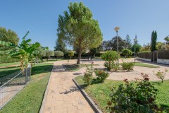 Foto53
