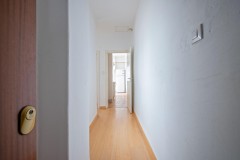 Foto5