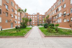 Foto1