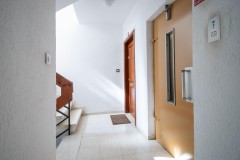 Foto19