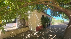 Foto31