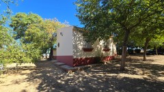 Foto32