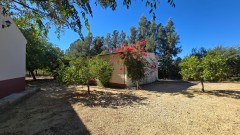 Foto38