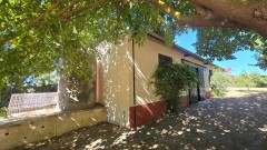 Foto39