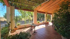 Foto40