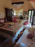 Foto5